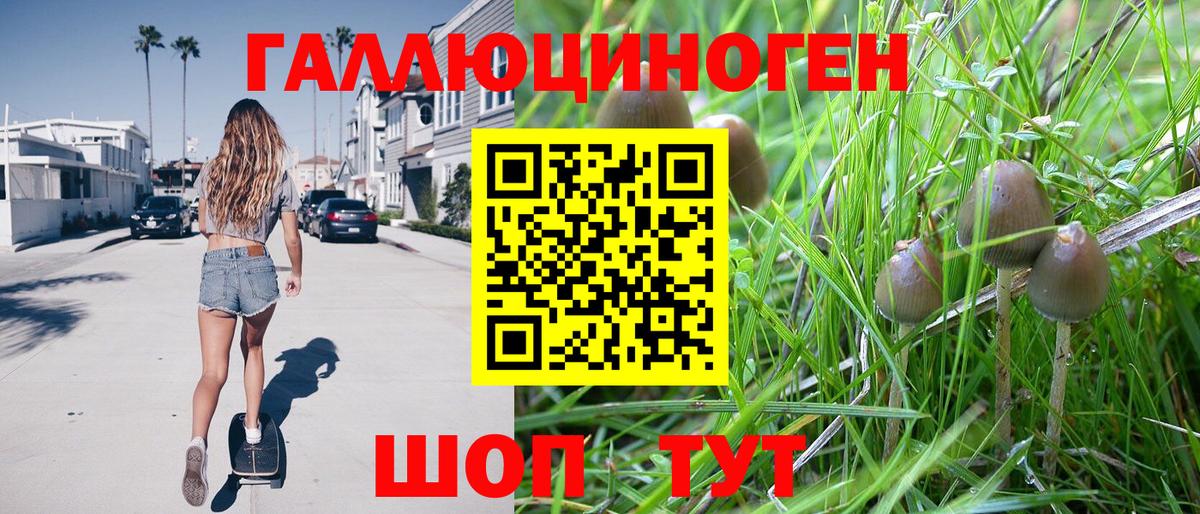 Галлюциногенные грибы Magic Shrooms Унеча
