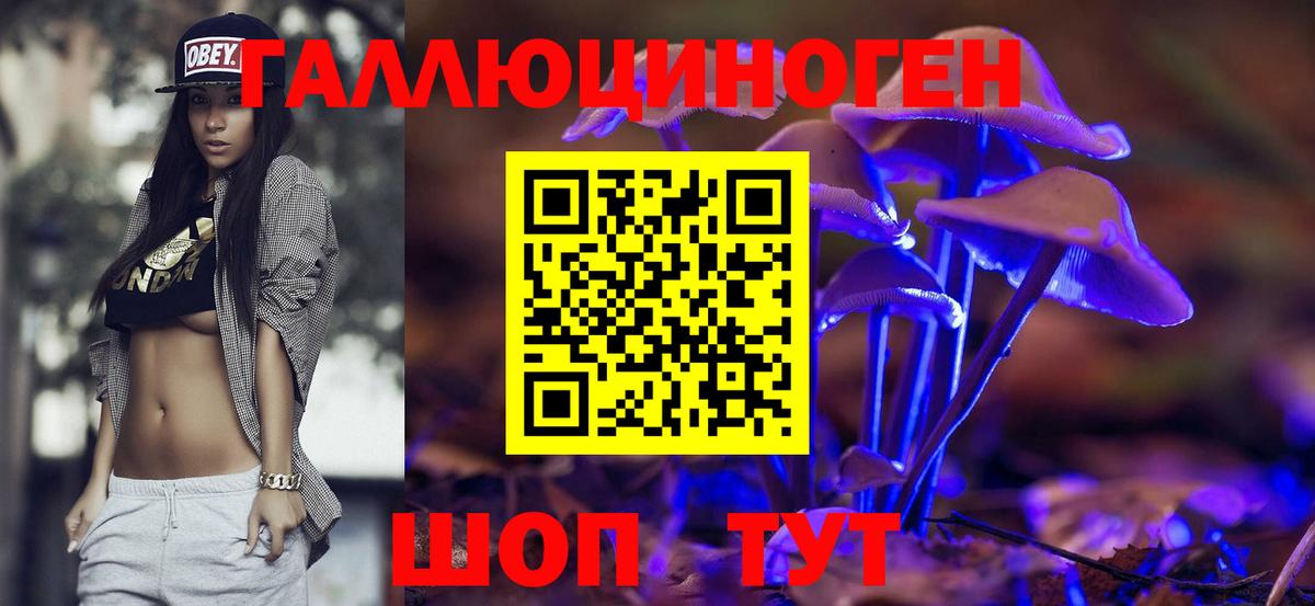 Галлюциногенные грибы прущие грибы  Вход с VPN  Унеча 